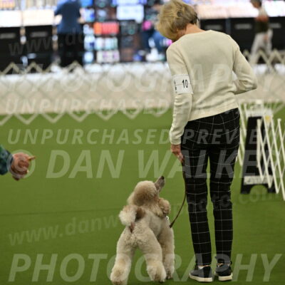 Ring-3-Morning-Obedience_0297