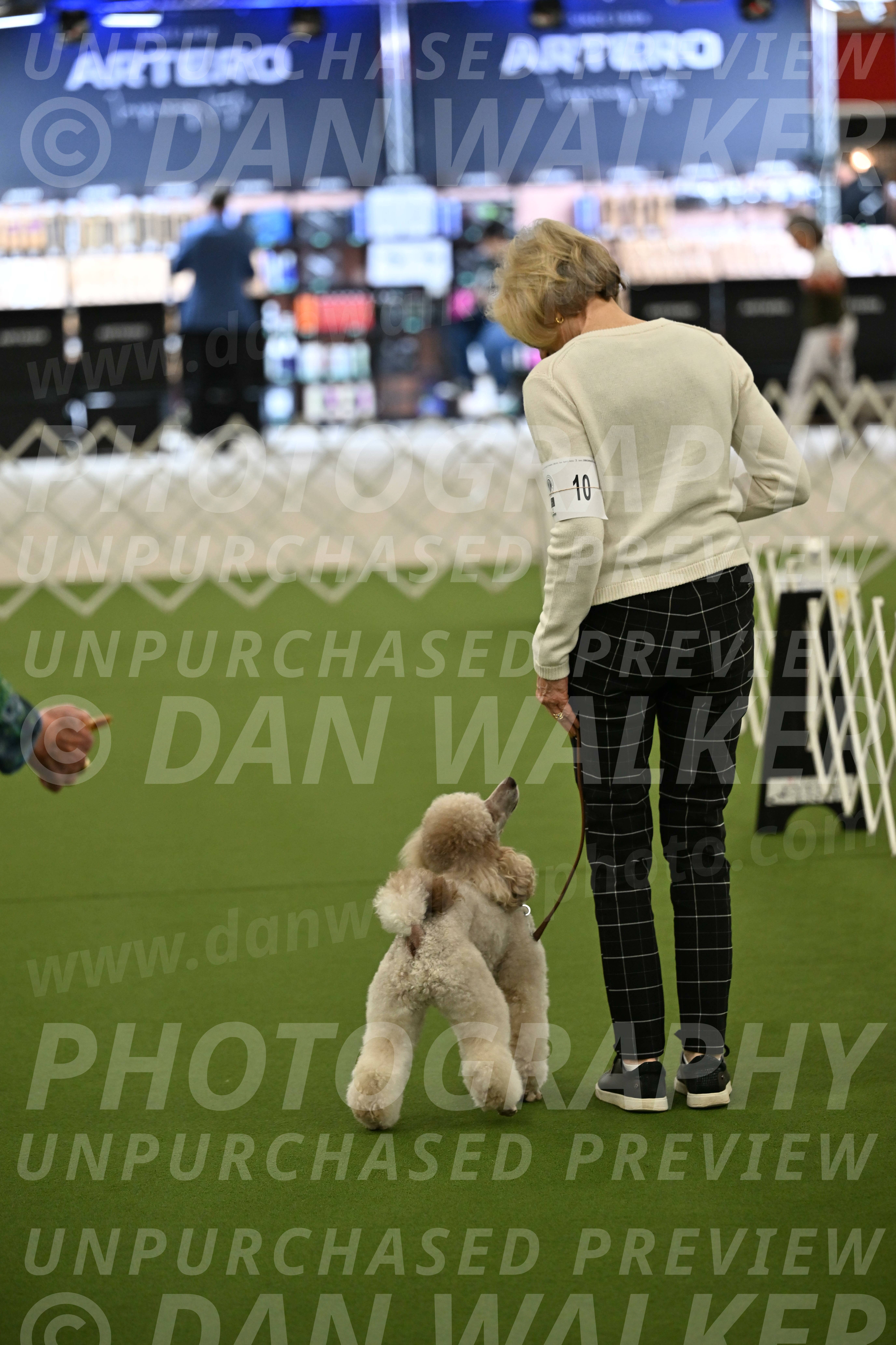 Ring-3-Morning-Obedience_0297