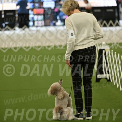 Ring-3-Morning-Obedience_0299