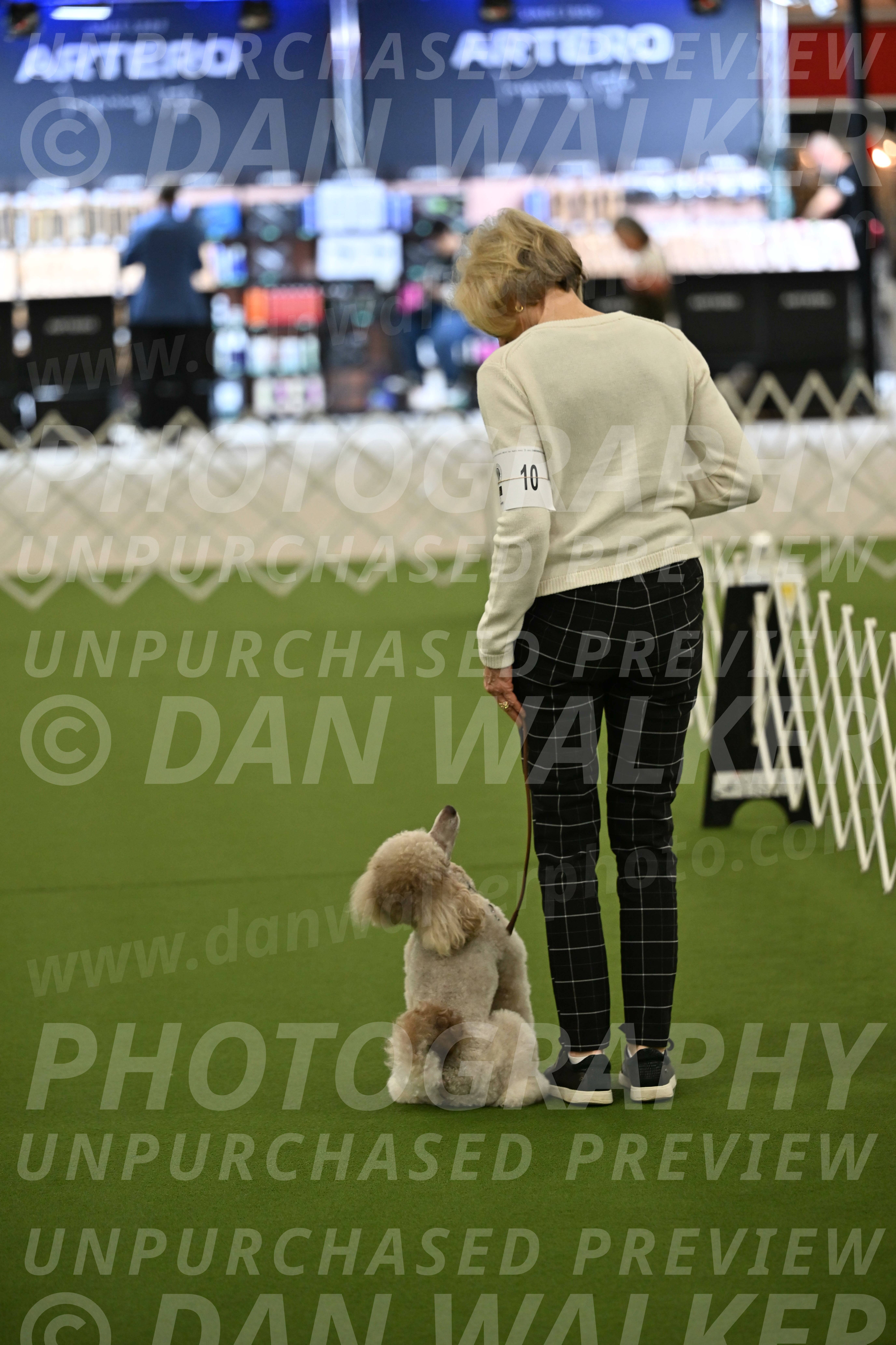 Ring-3-Morning-Obedience_0299