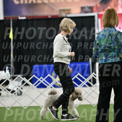 Ring-3-Morning-Obedience_0302