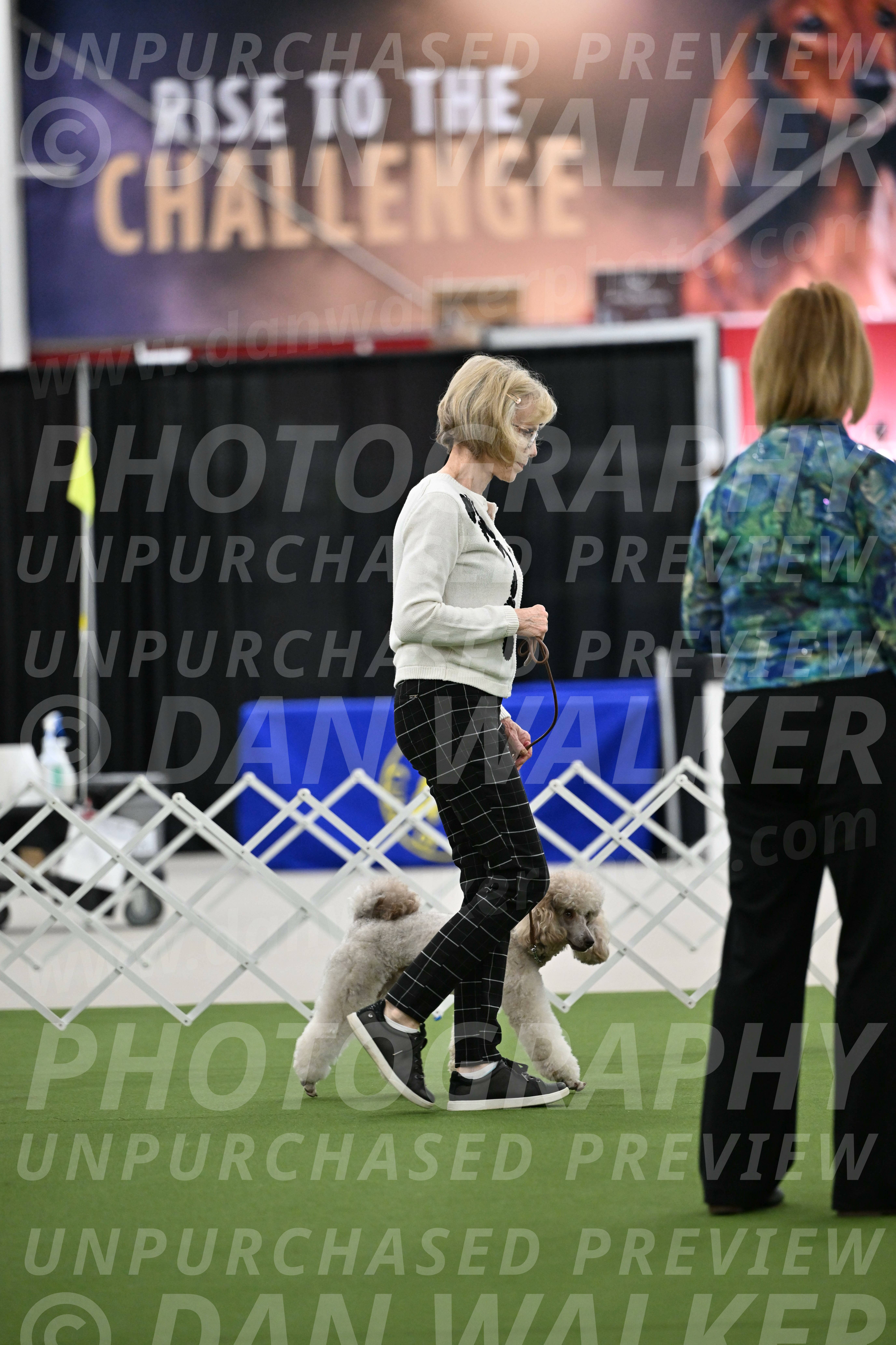 Ring-3-Morning-Obedience_0302