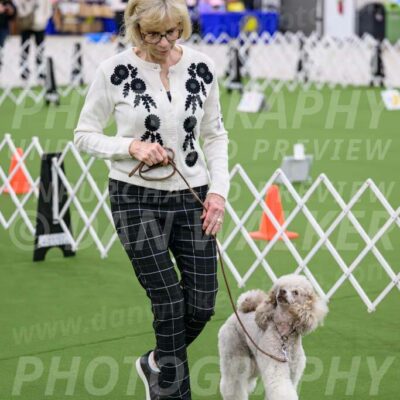 Ring-3-Morning-Obedience_0305-Enhanced-NR