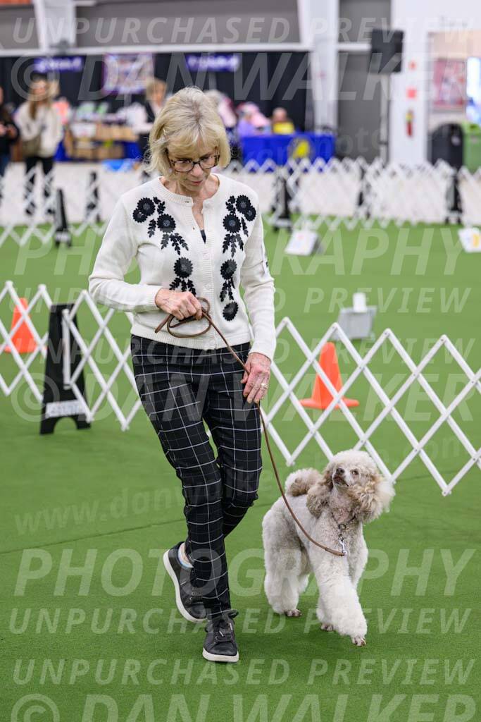 Ring-3-Morning-Obedience_0305-Enhanced-NR