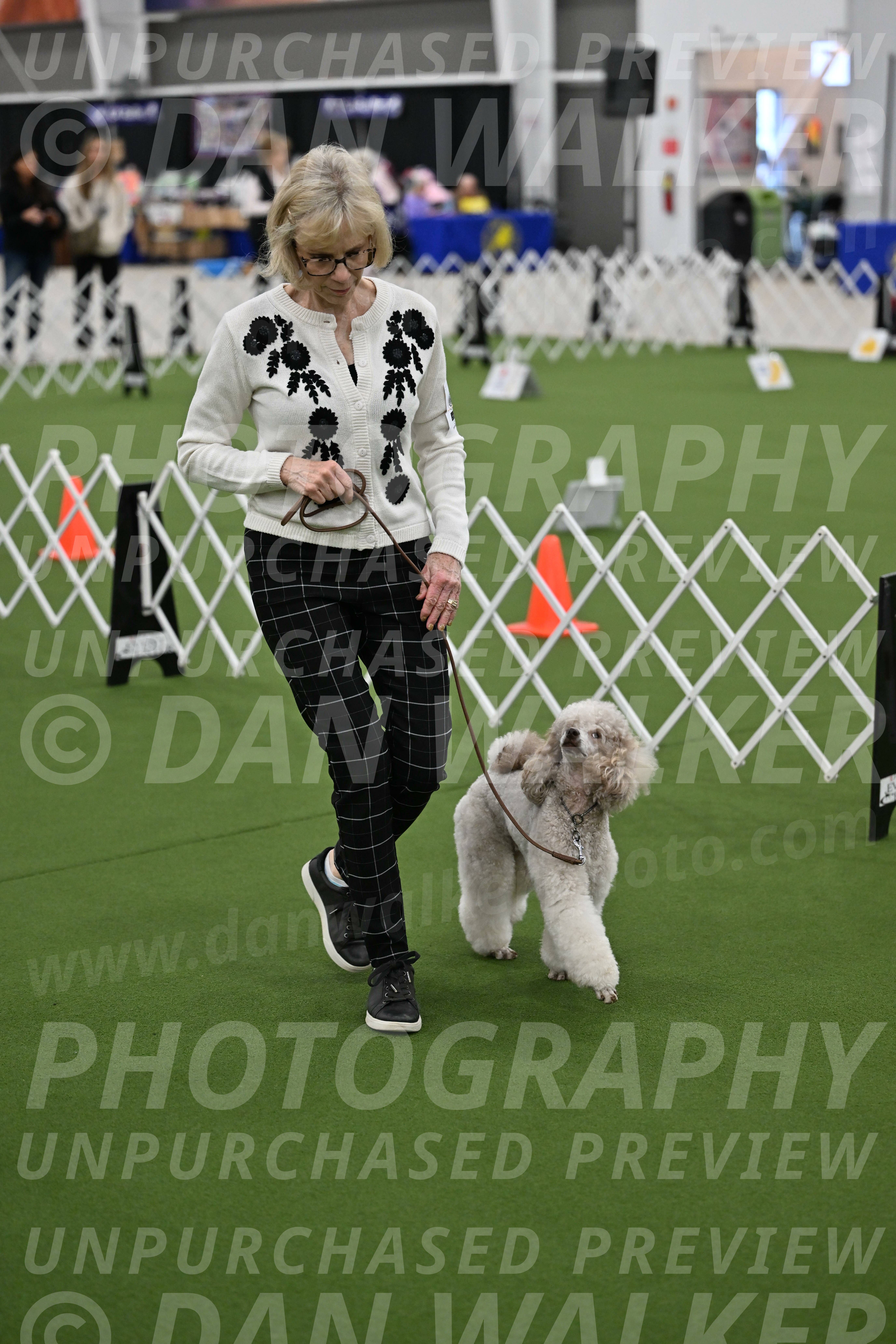 Ring-3-Morning-Obedience_0305