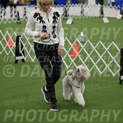 Ring-3-Morning-Obedience_0305