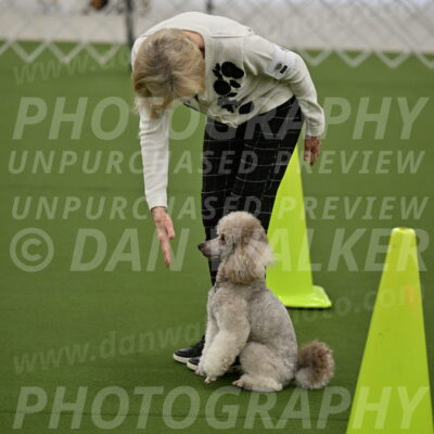 Ring-3-Morning-Obedience_0329