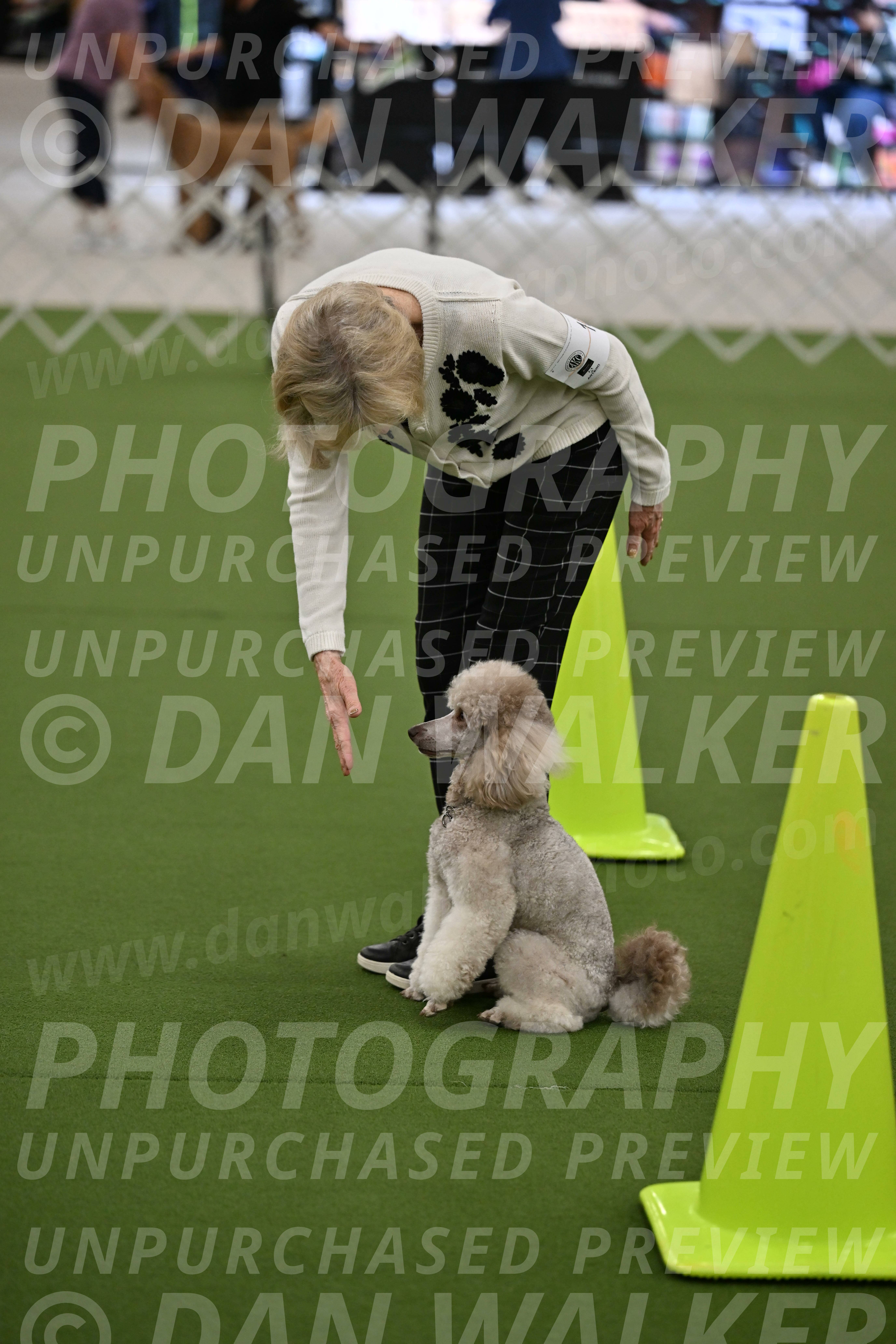 Ring-3-Morning-Obedience_0329