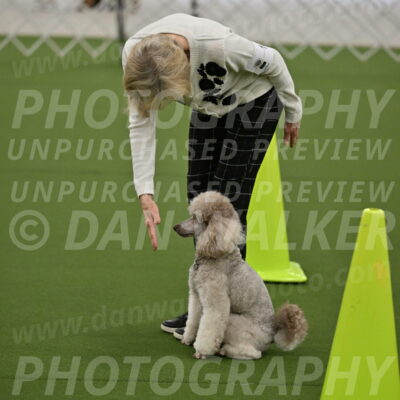 Ring-3-Morning-Obedience_0330