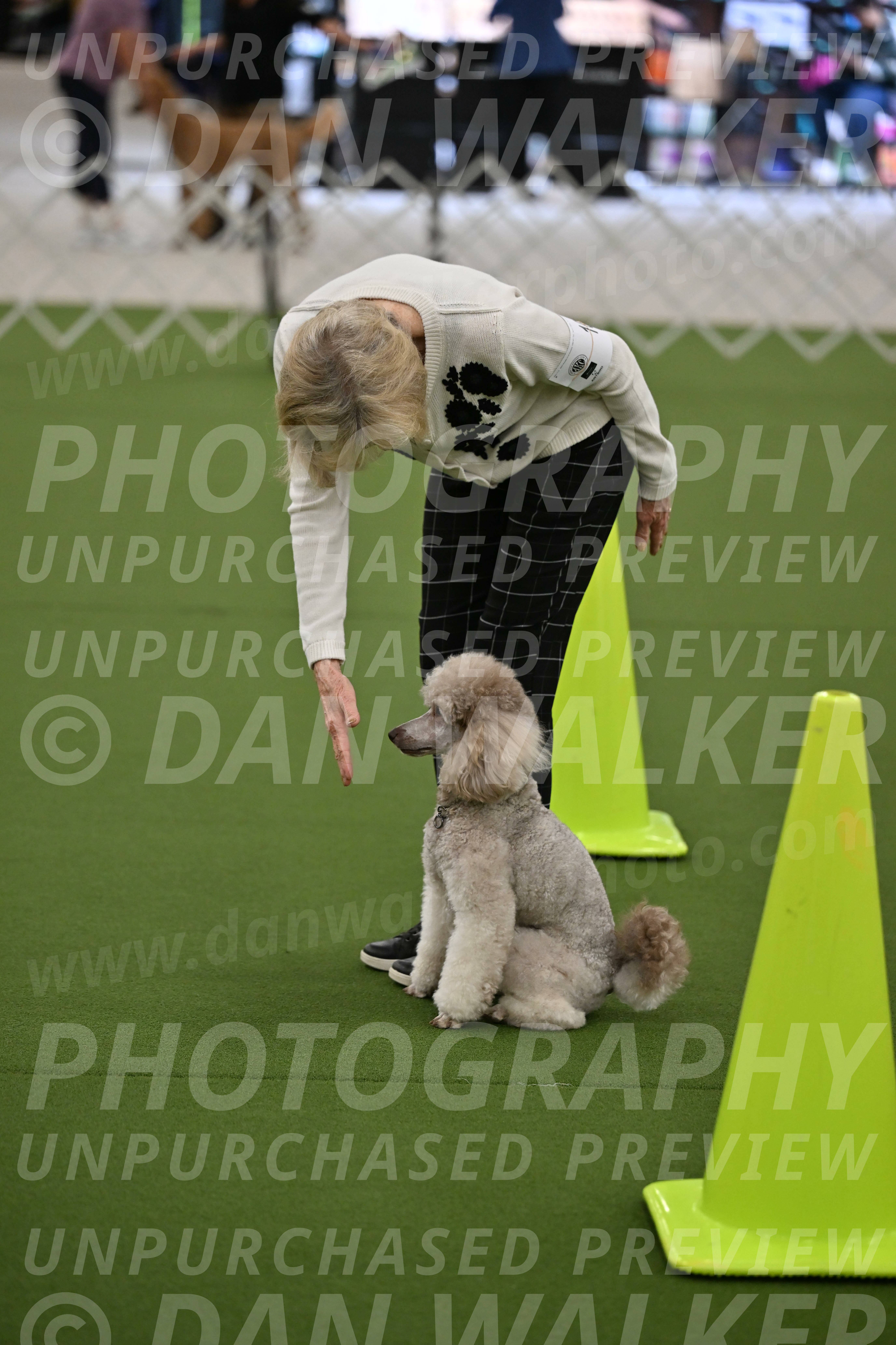 Ring-3-Morning-Obedience_0330