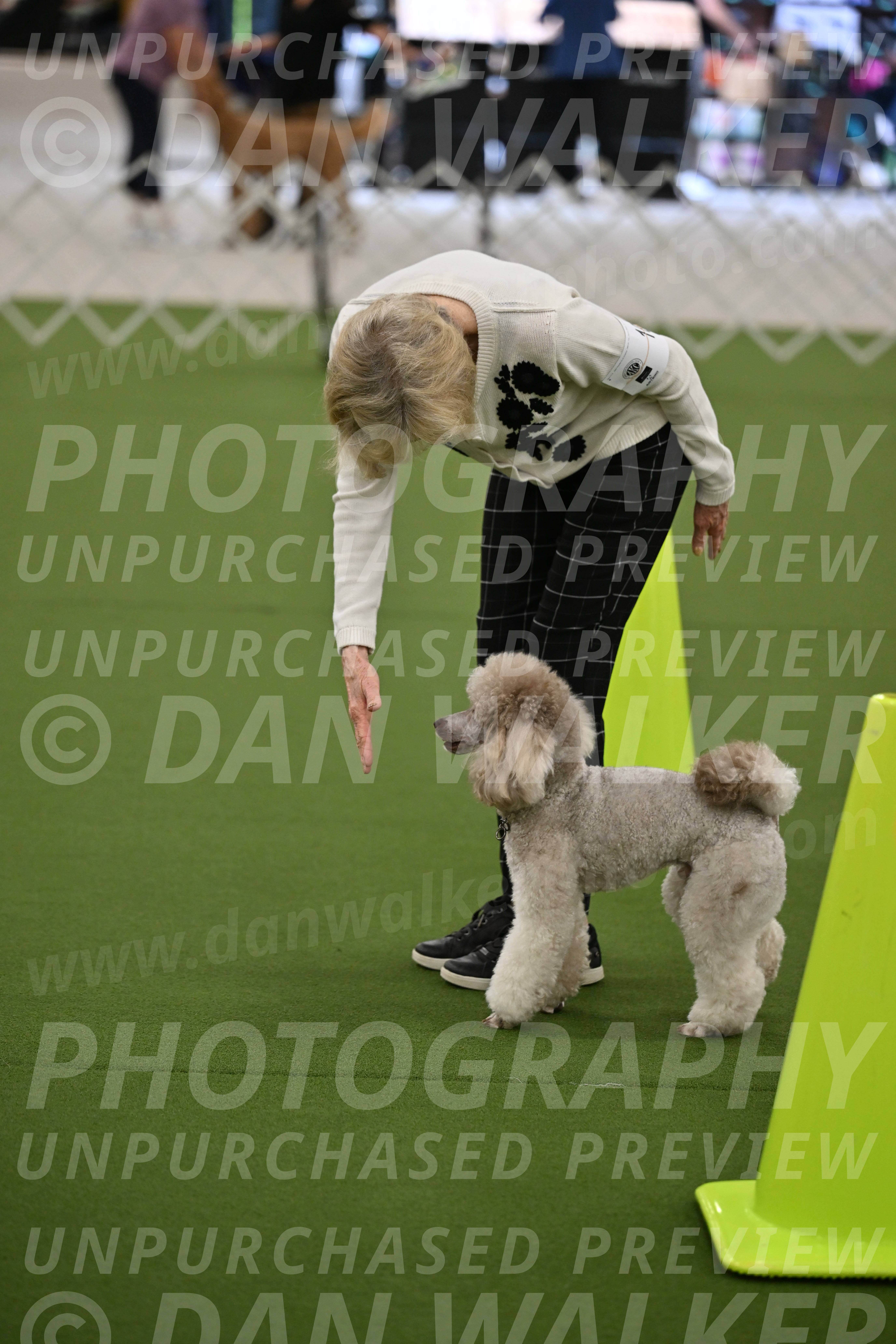 Ring-3-Morning-Obedience_0332