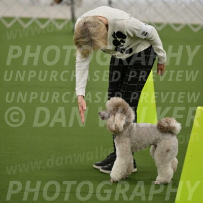 Ring-3-Morning-Obedience_0332