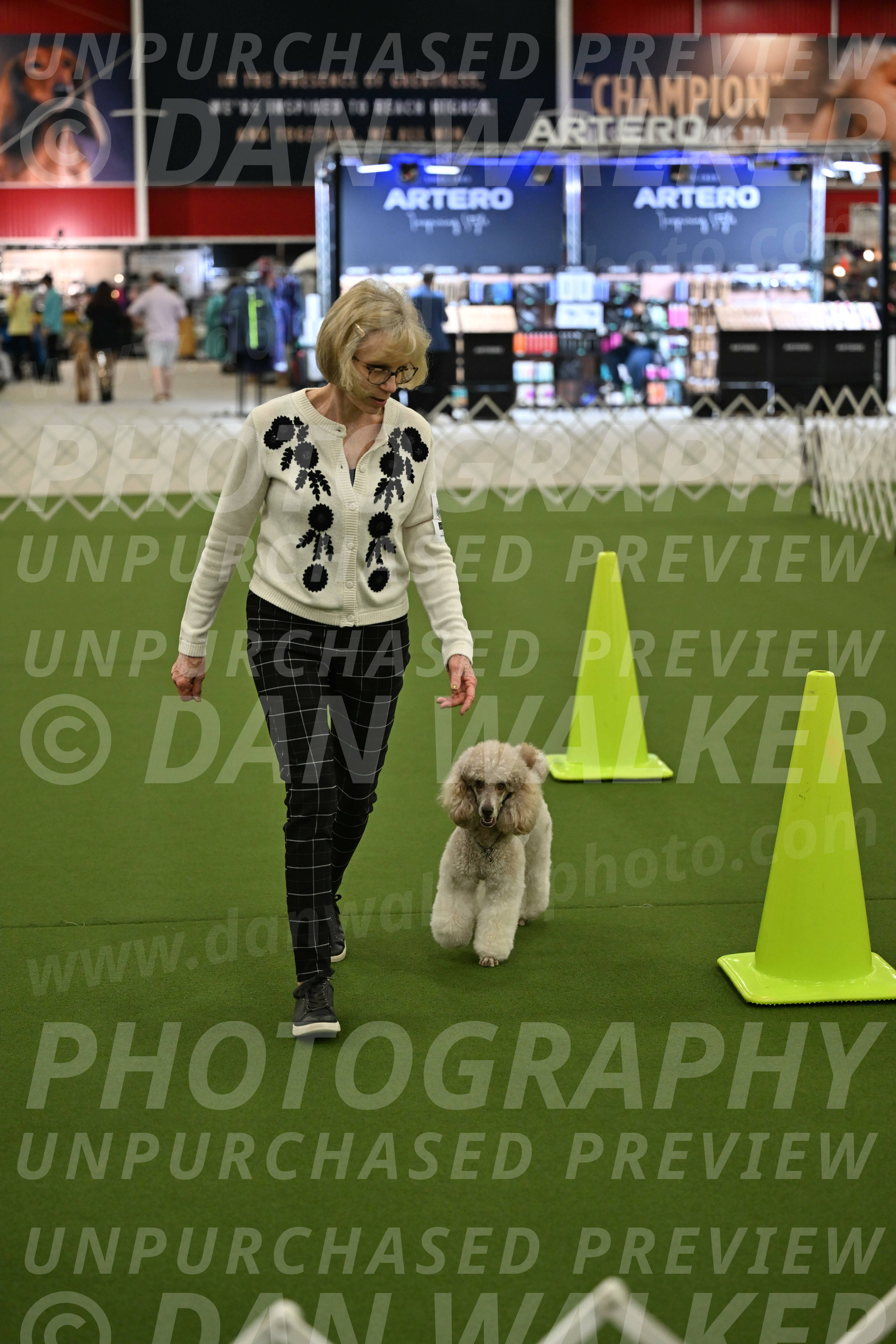 Ring-3-Morning-Obedience_0334