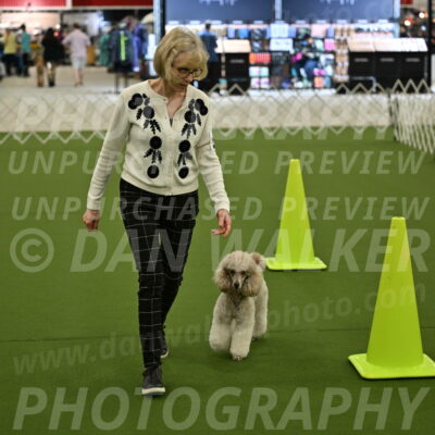 Ring-3-Morning-Obedience_0334