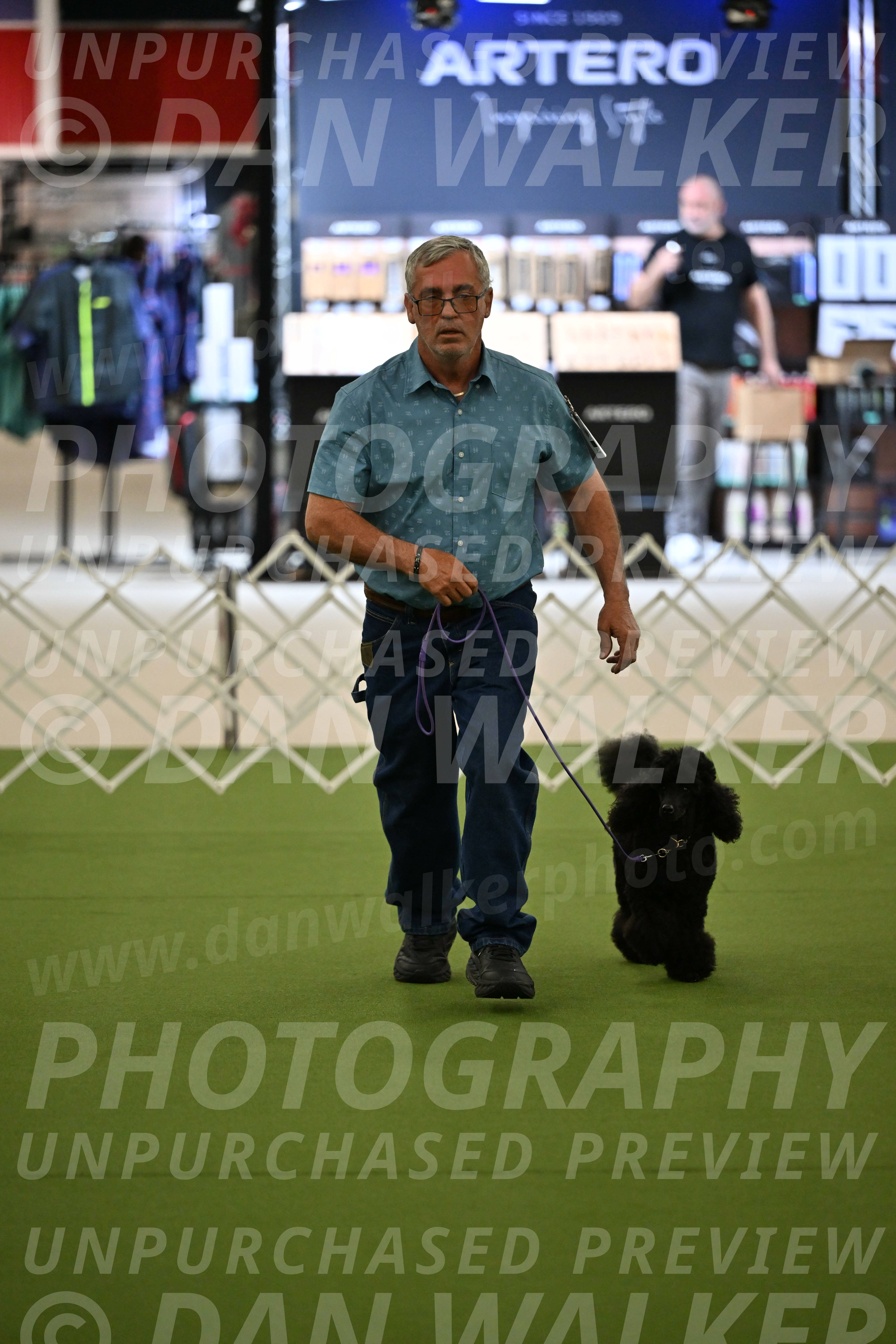 Ring-3-Morning-Obedience_0393