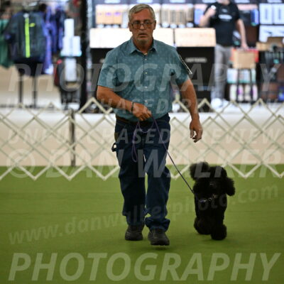 Ring-3-Morning-Obedience_0393