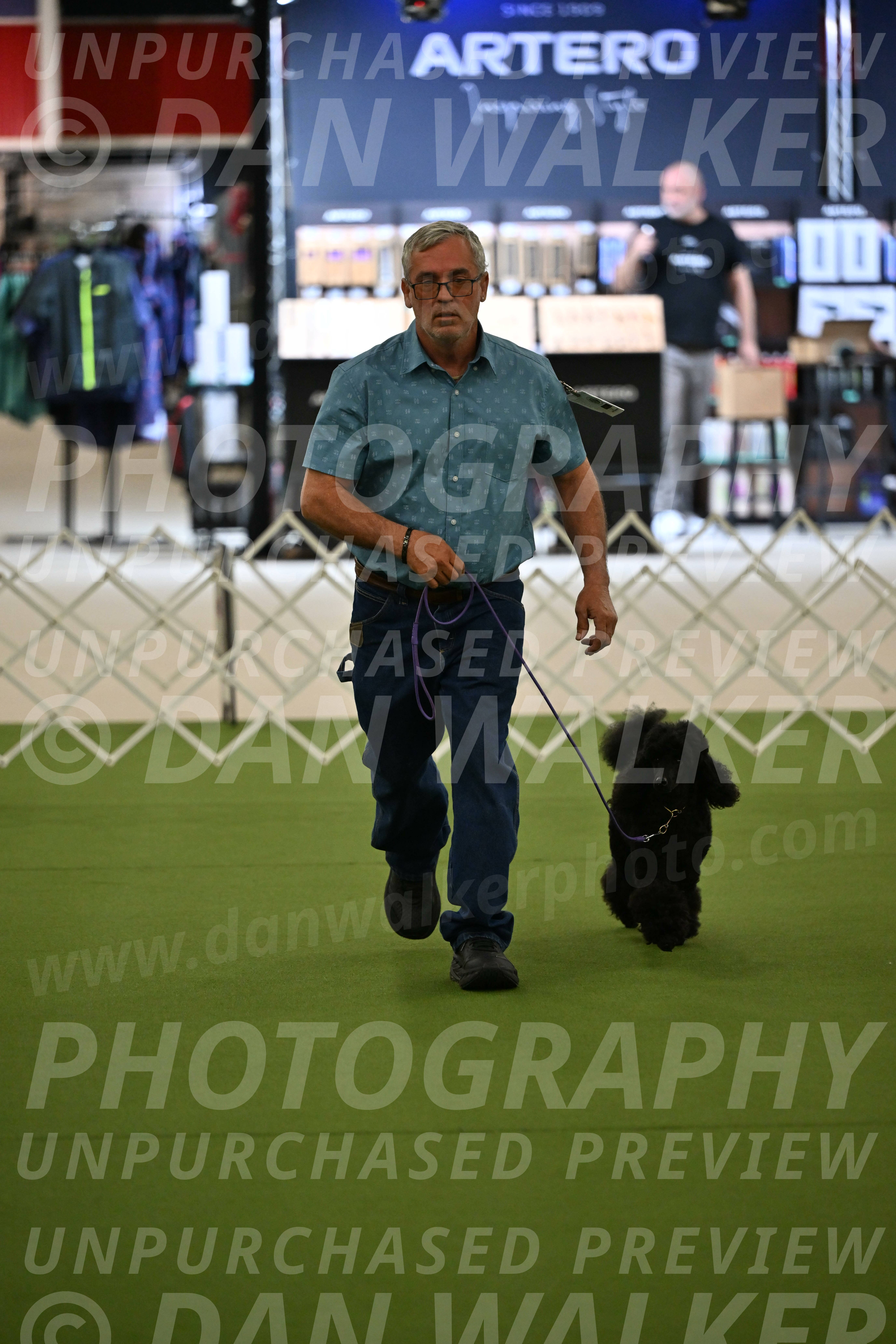 Ring-3-Morning-Obedience_0394