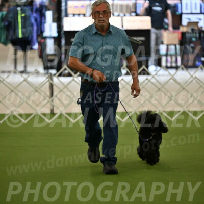 Ring-3-Morning-Obedience_0394