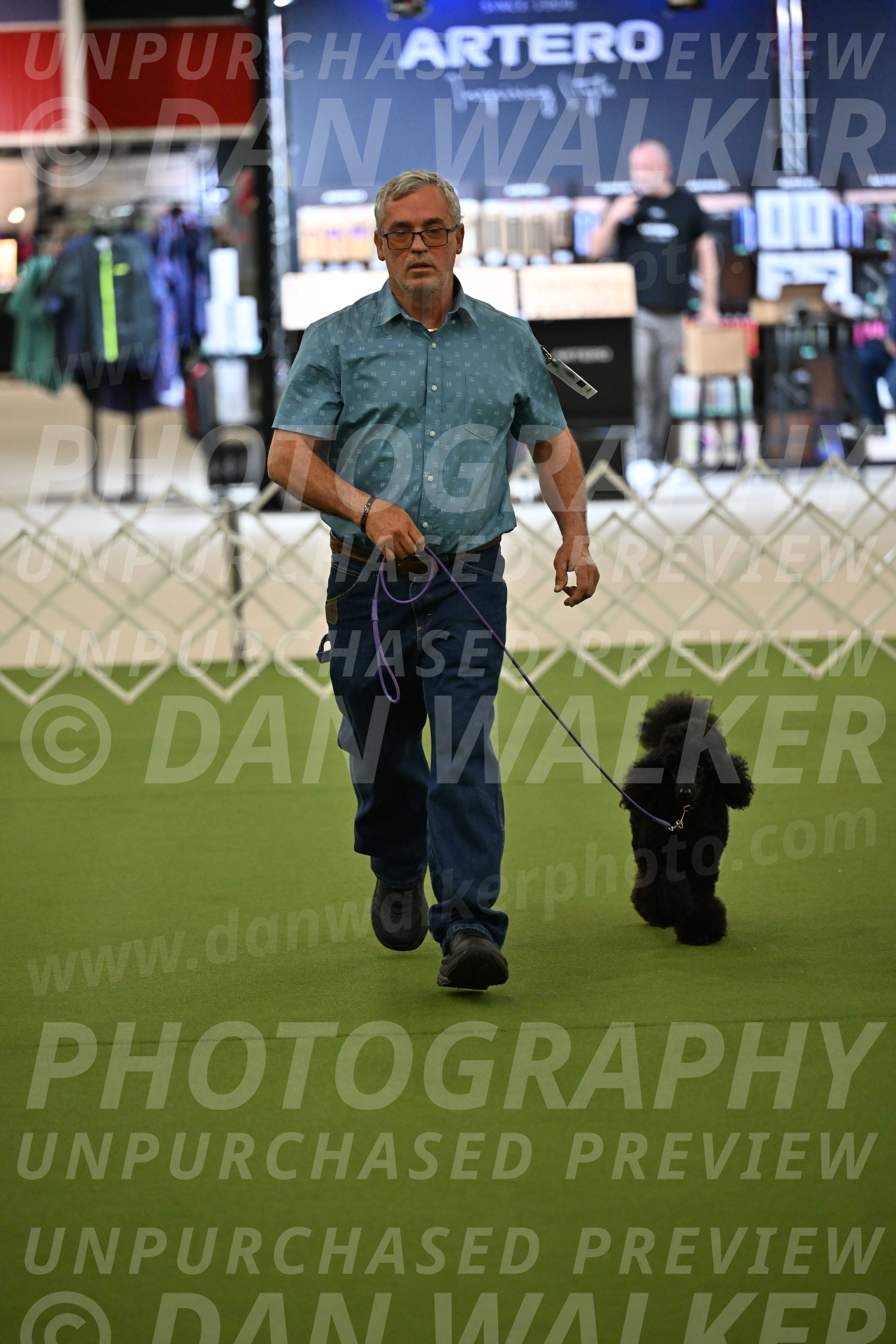 Ring-3-Morning-Obedience_0398