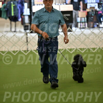 Ring-3-Morning-Obedience_0398