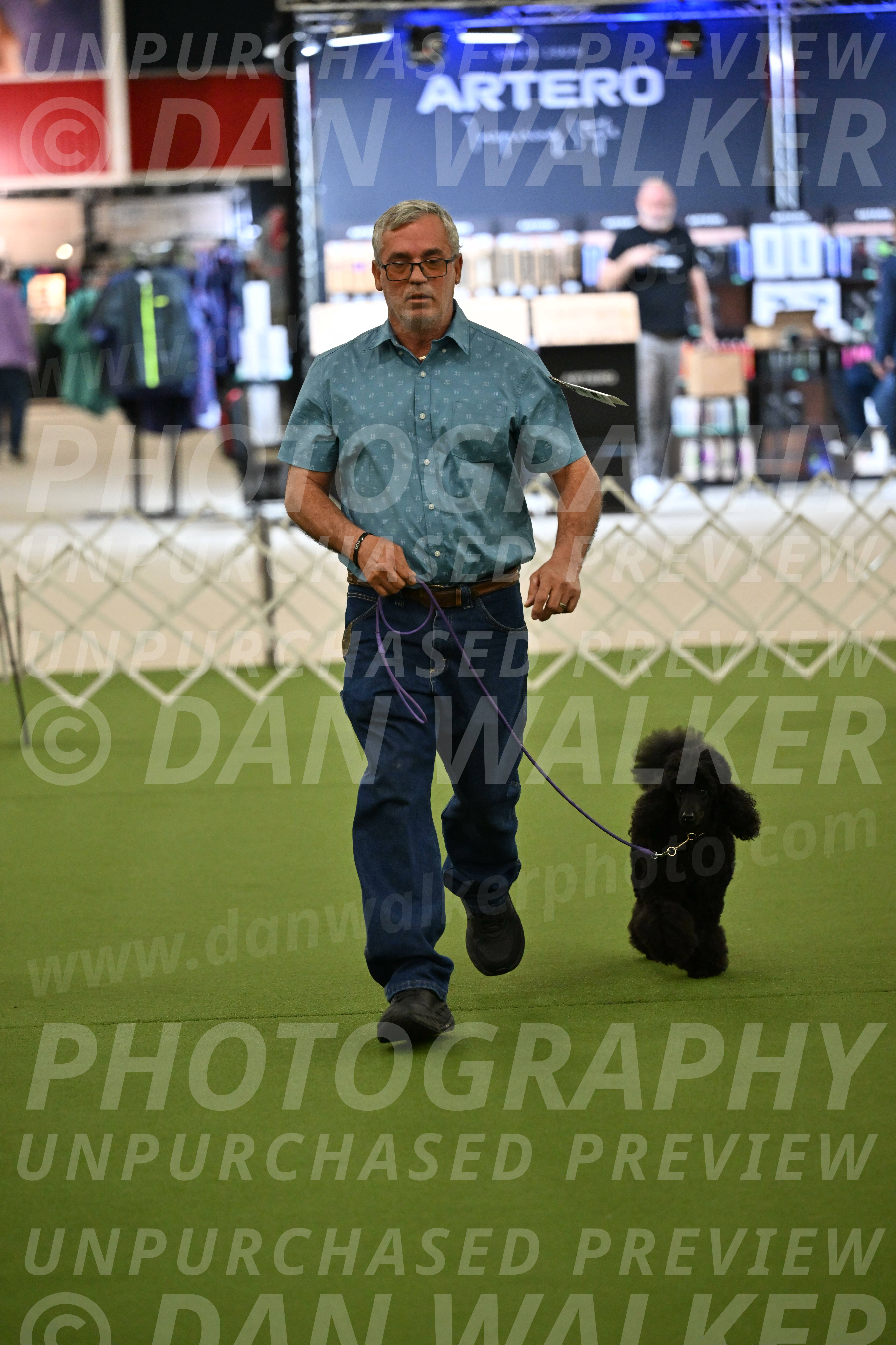 Ring-3-Morning-Obedience_0399