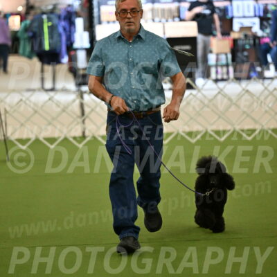 Ring-3-Morning-Obedience_0399