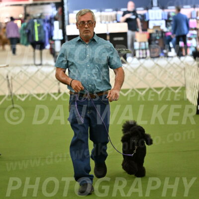 Ring-3-Morning-Obedience_0401