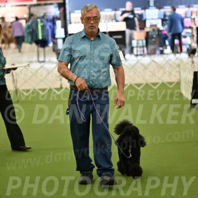 Ring-3-Morning-Obedience_0403