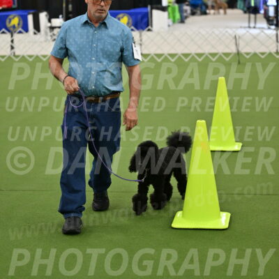 Ring-3-Morning-Obedience_0404