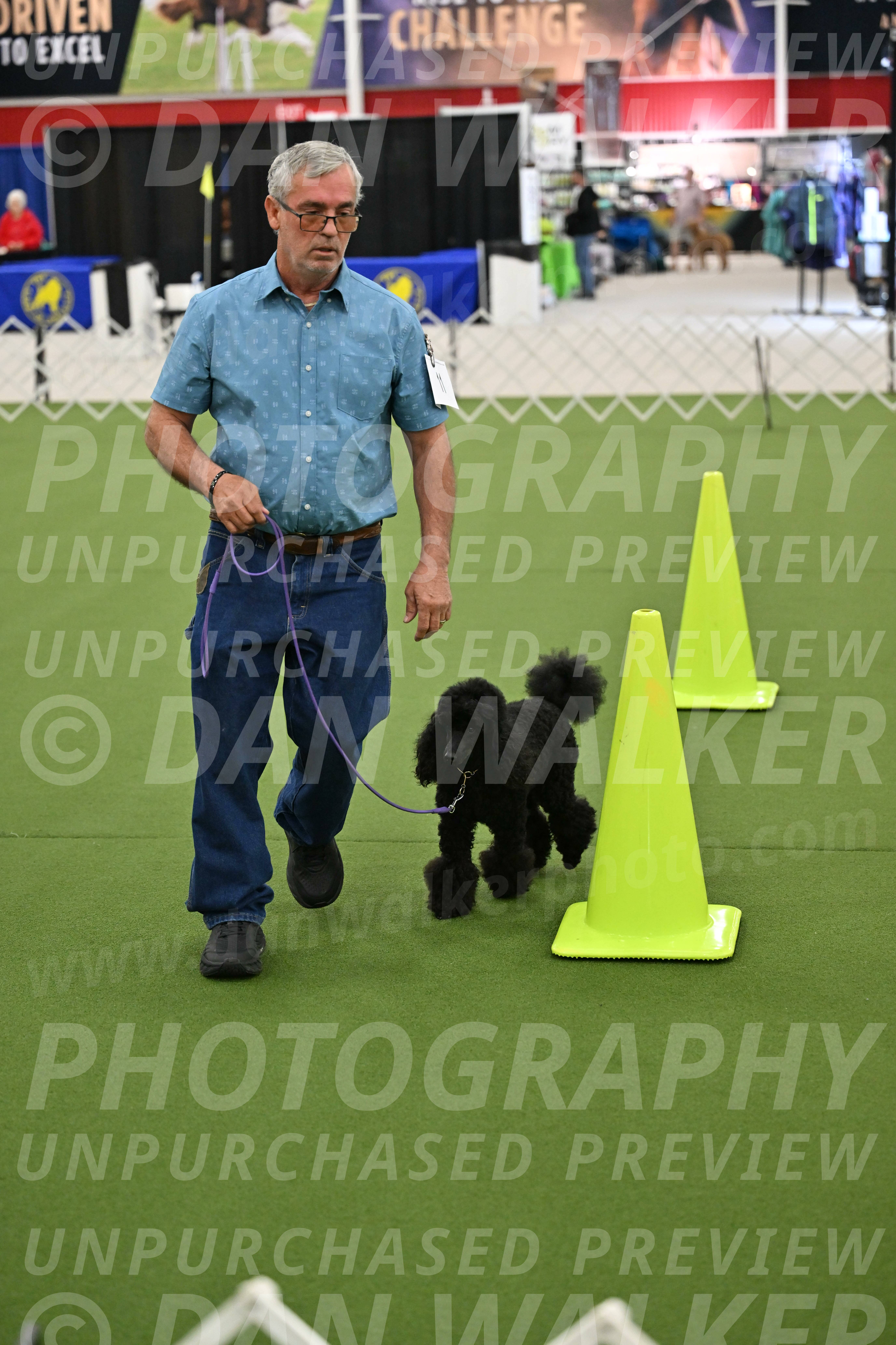 Ring-3-Morning-Obedience_0405