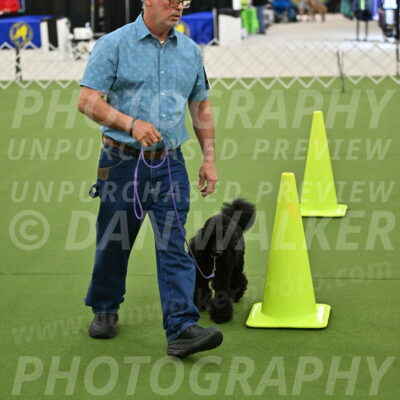 Ring-3-Morning-Obedience_0406