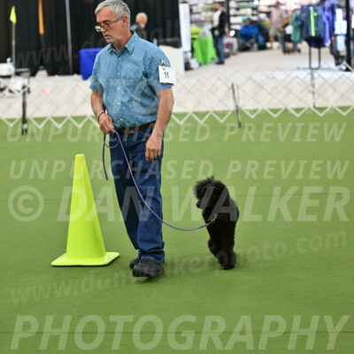 Ring-3-Morning-Obedience_0410