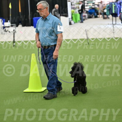 Ring-3-Morning-Obedience_0411