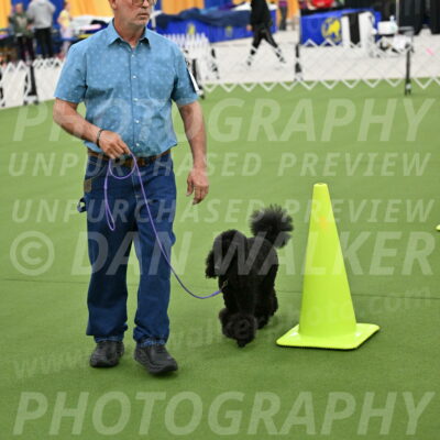 Ring-3-Morning-Obedience_0414