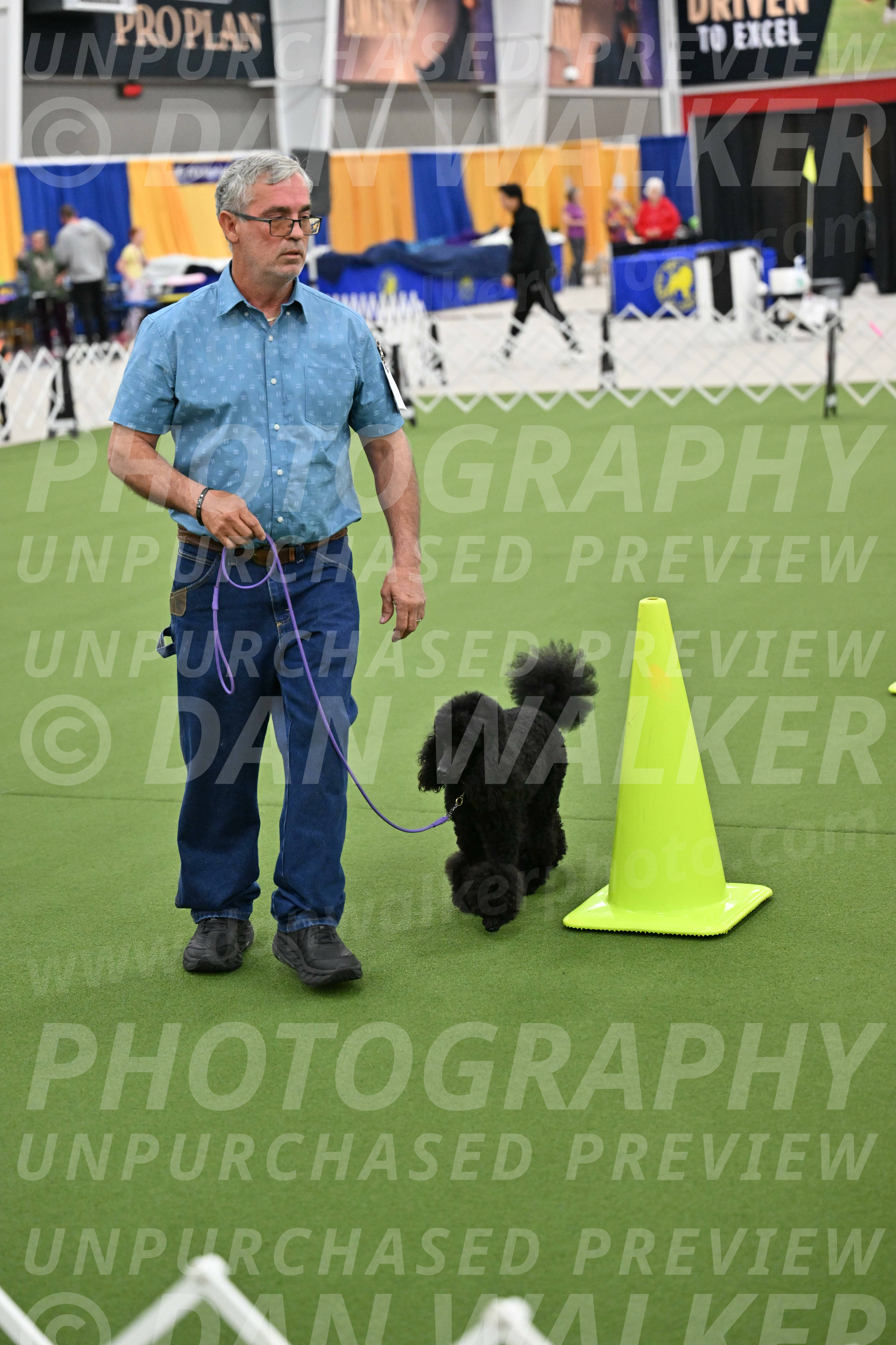 Ring-3-Morning-Obedience_0414