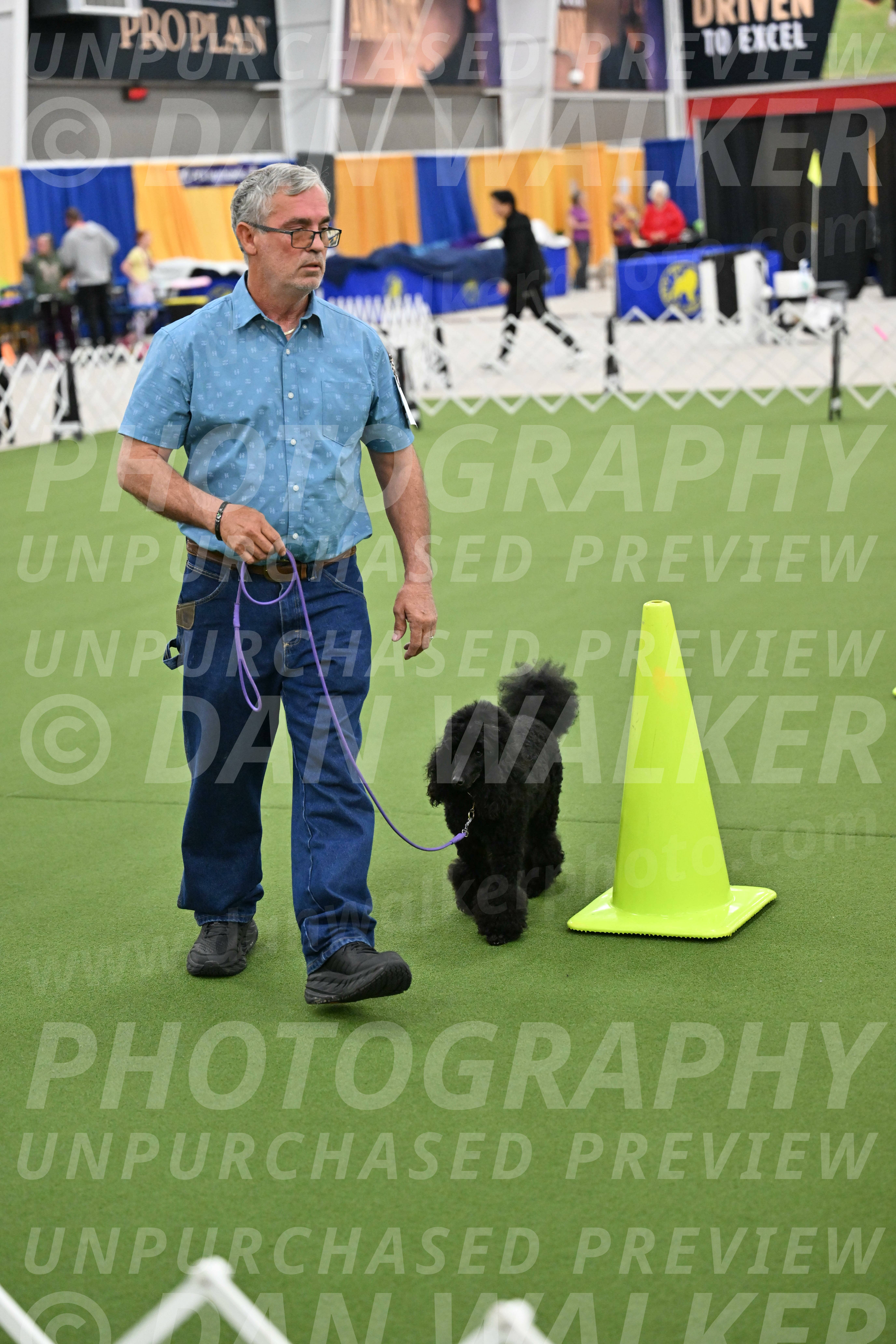 Ring-3-Morning-Obedience_0415