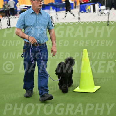 Ring-3-Morning-Obedience_0415