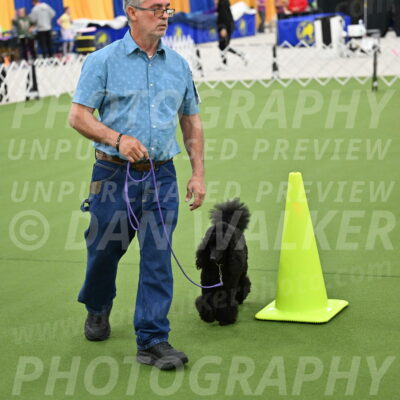 Ring-3-Morning-Obedience_0416