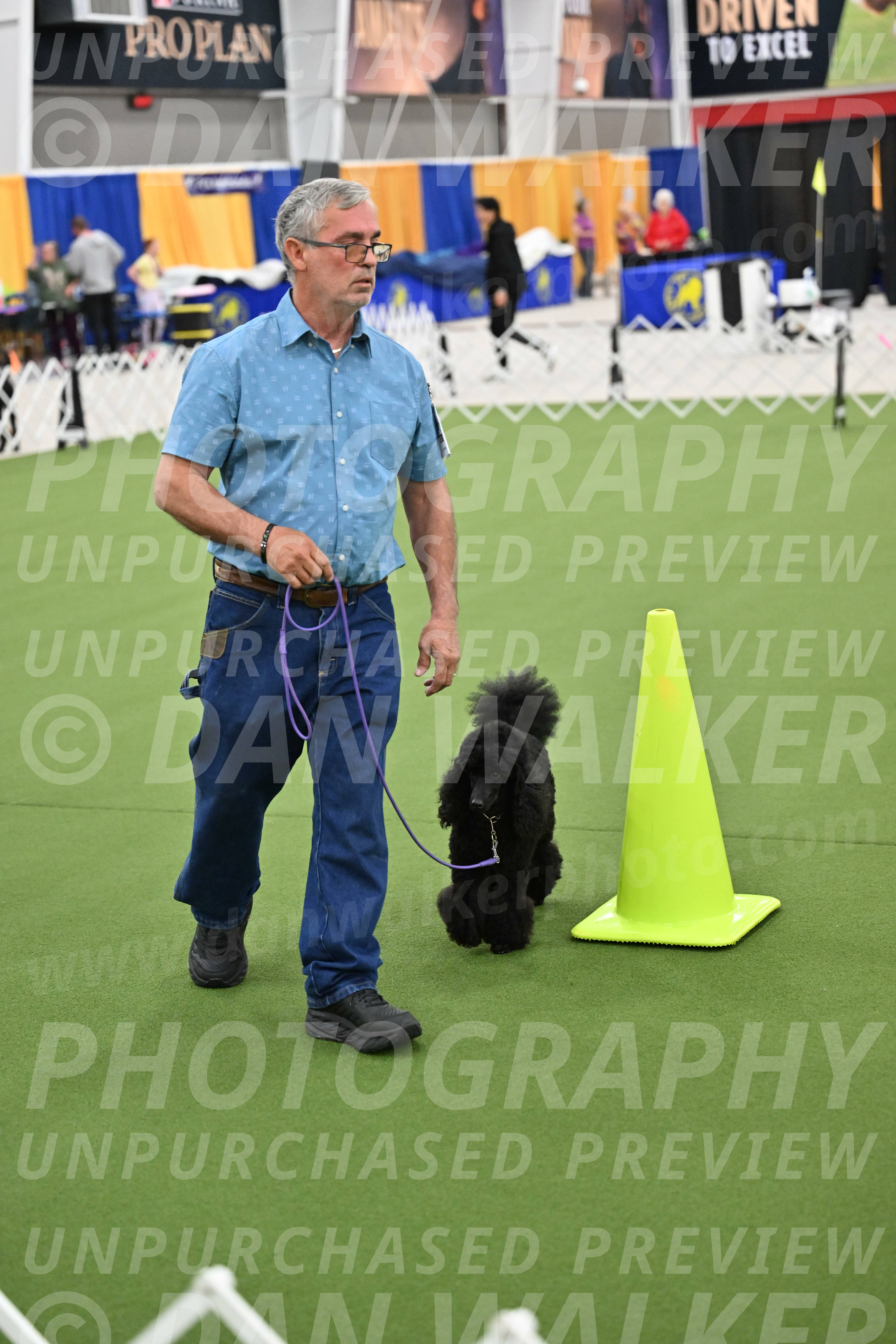 Ring-3-Morning-Obedience_0416