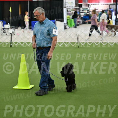 Ring-3-Morning-Obedience_0418