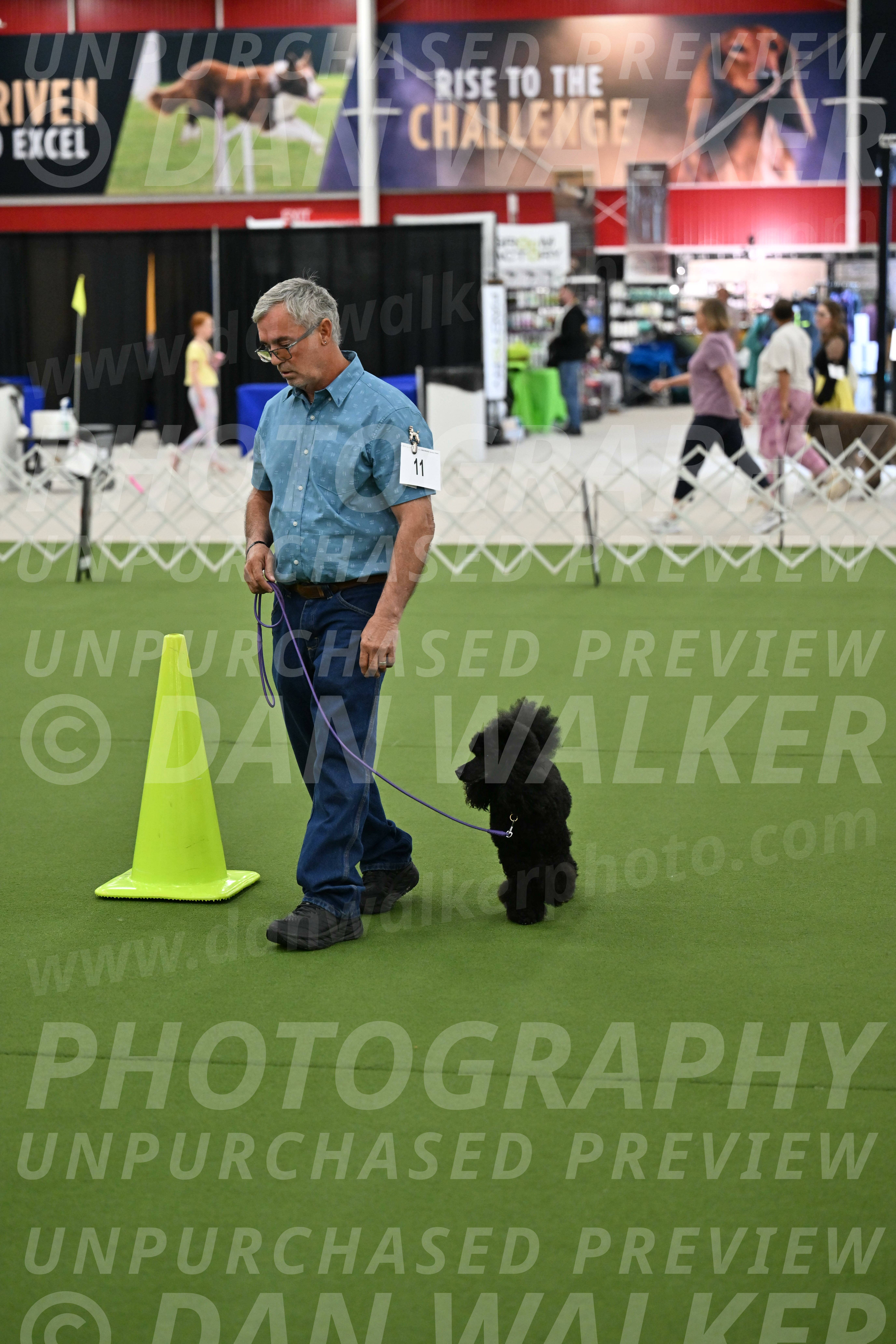 Ring-3-Morning-Obedience_0418