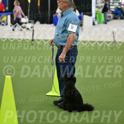 Ring-3-Morning-Obedience_0420