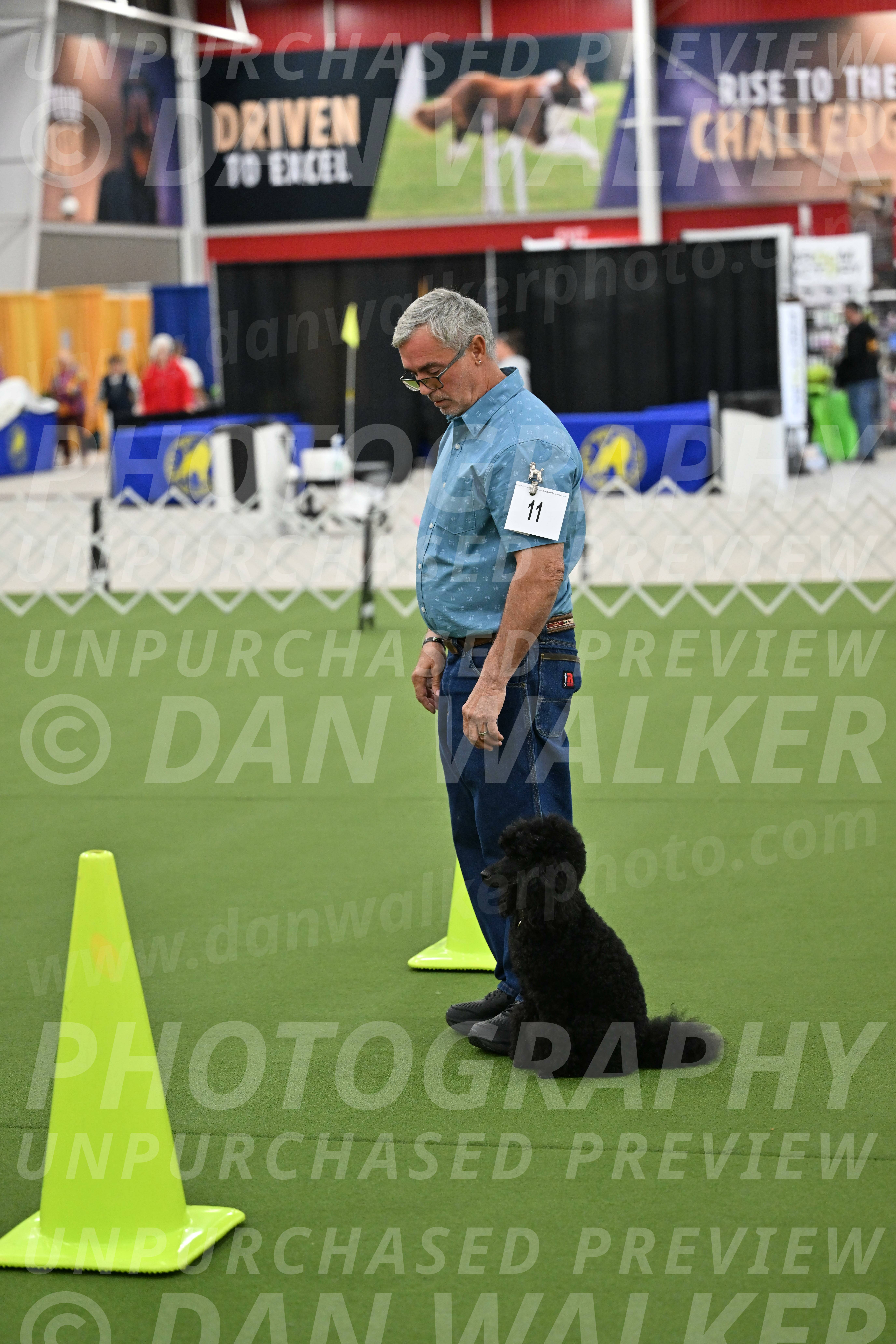 Ring-3-Morning-Obedience_0423