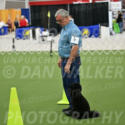 Ring-3-Morning-Obedience_0423