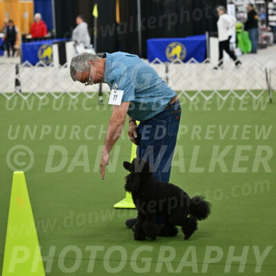 Ring-3-Morning-Obedience_0425