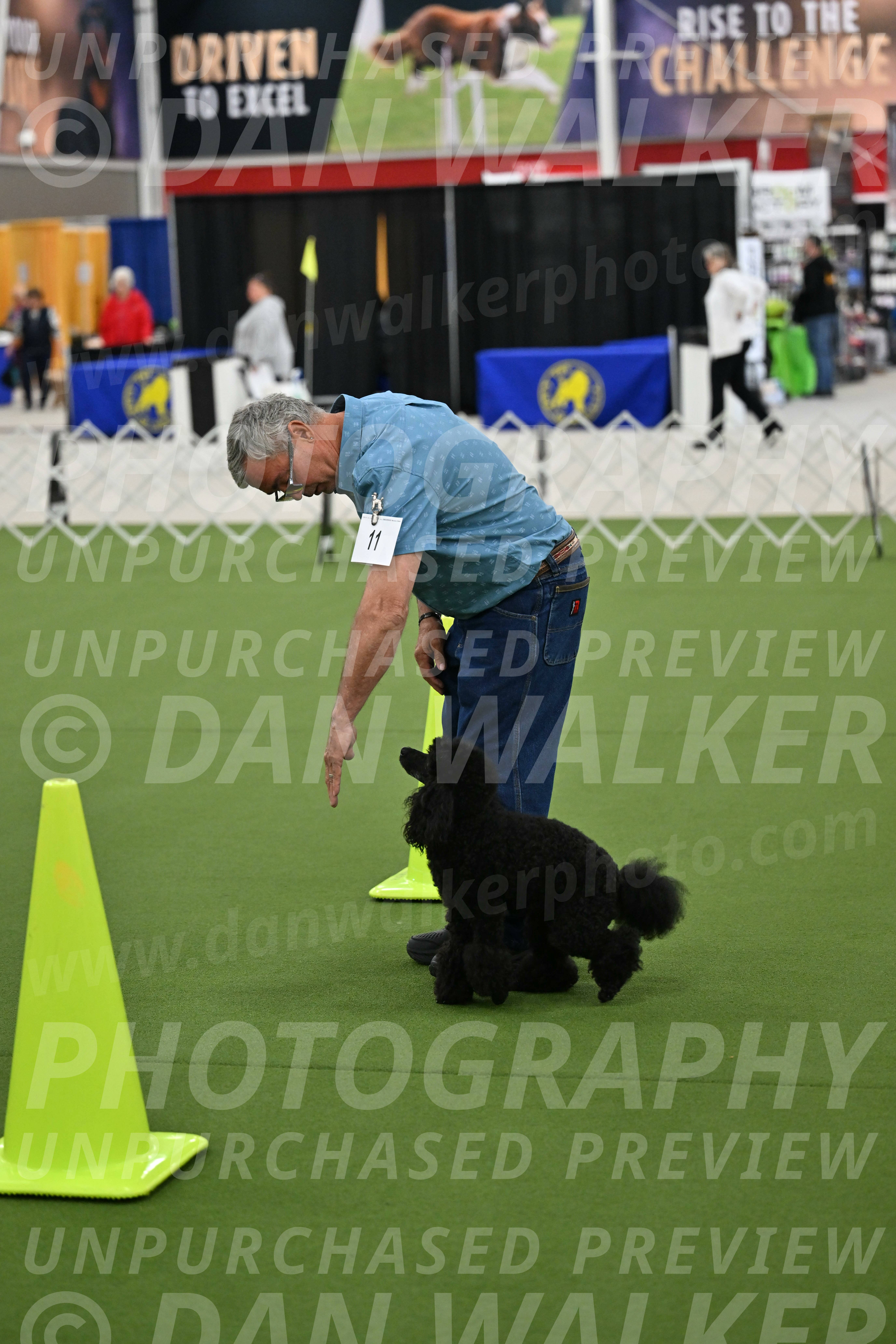 Ring-3-Morning-Obedience_0425