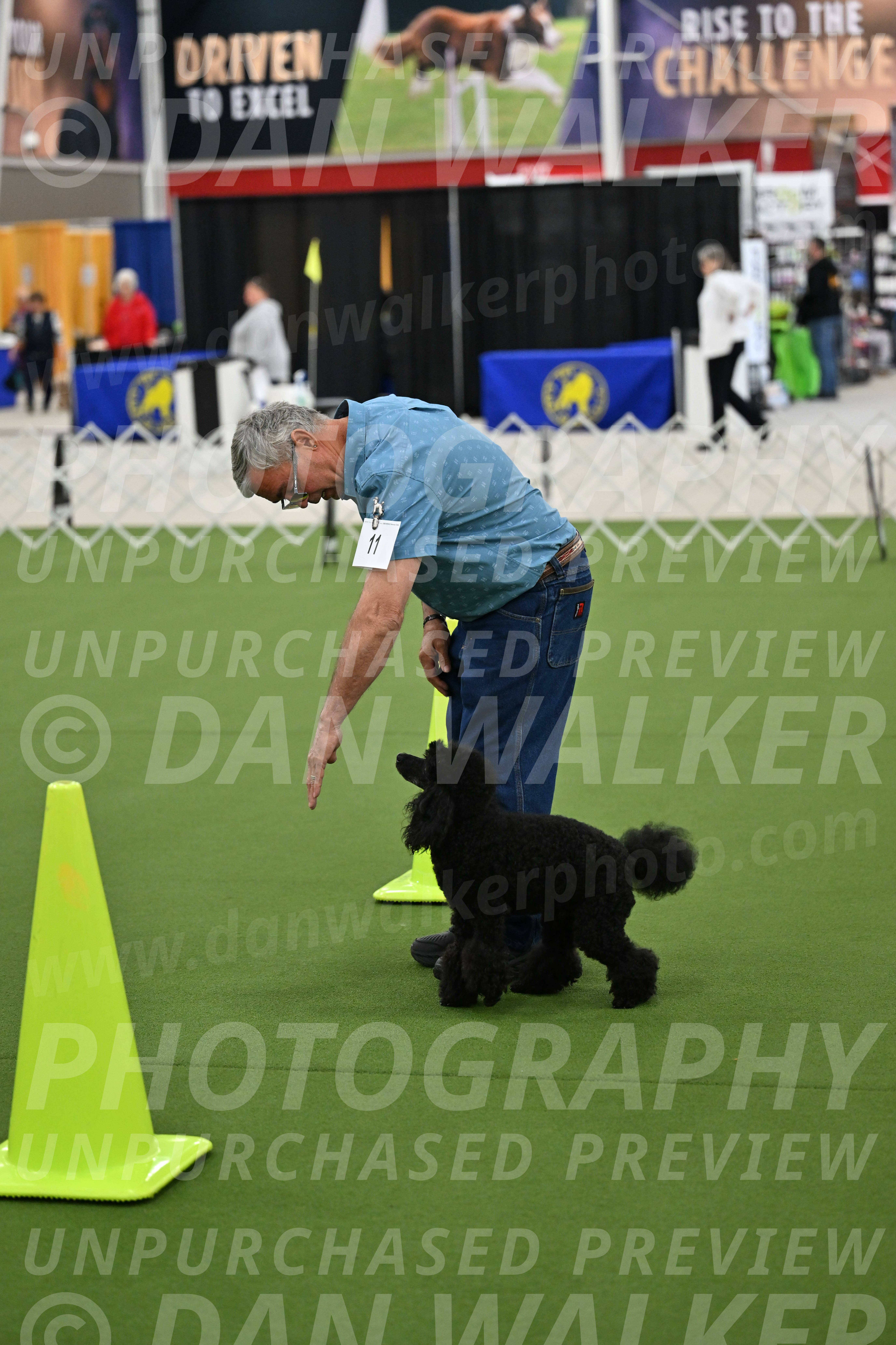 Ring-3-Morning-Obedience_0426