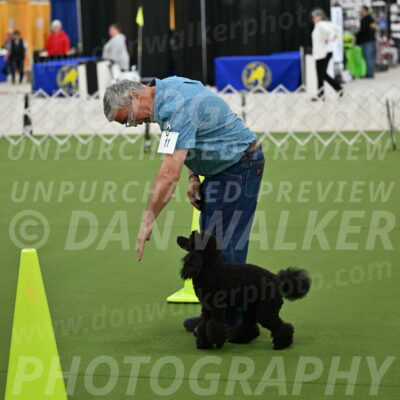 Ring-3-Morning-Obedience_0426