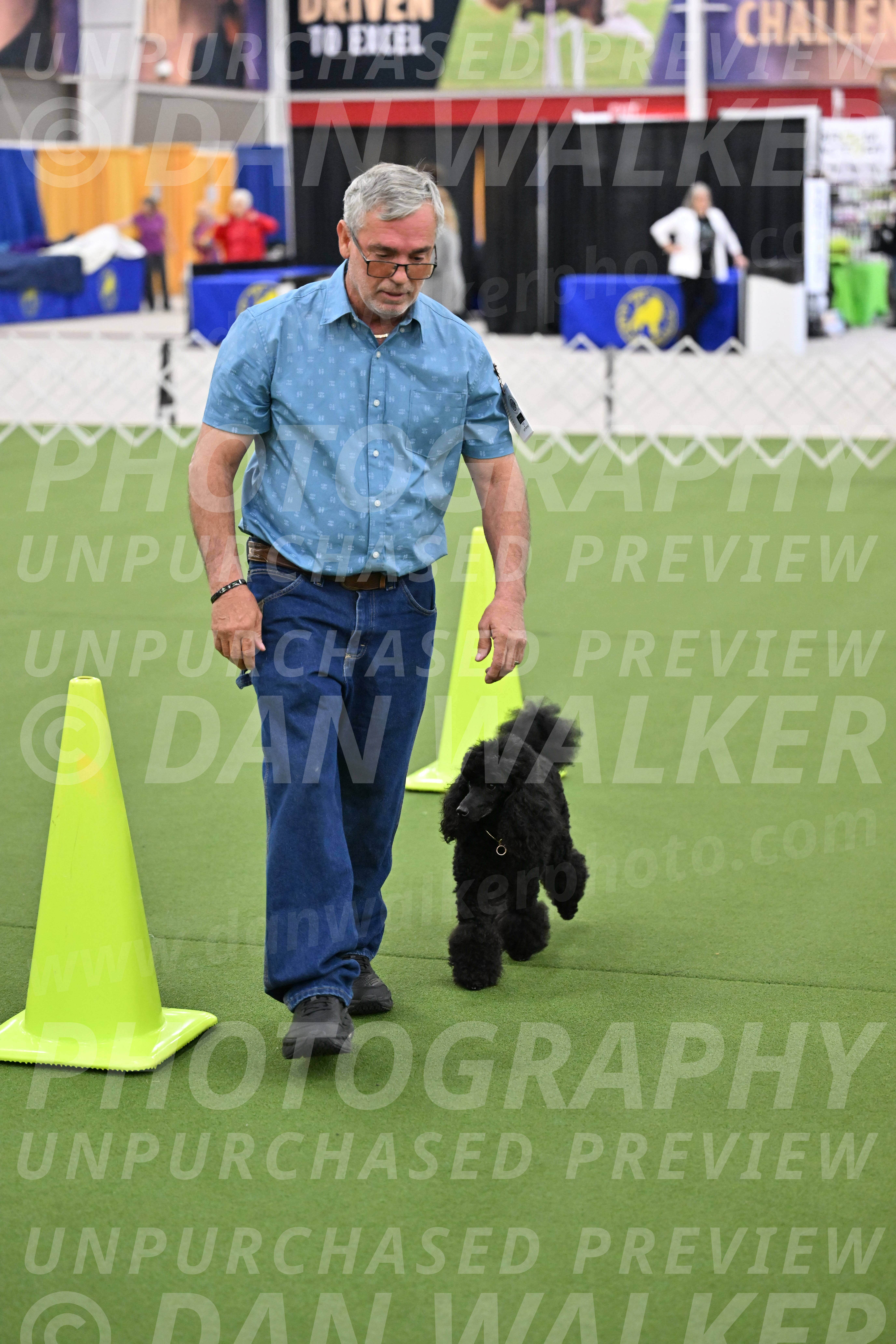 Ring-3-Morning-Obedience_0428