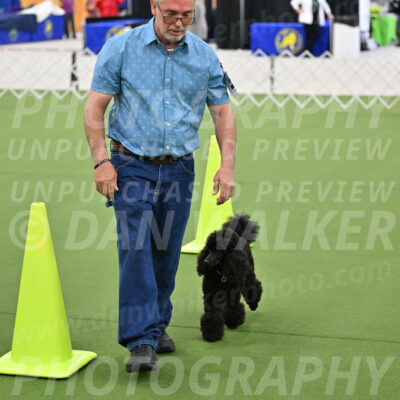 Ring-3-Morning-Obedience_0428